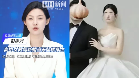 魏亚蕊新婚坠楼事件