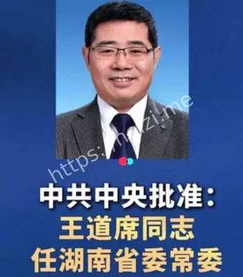 王道席任湖南常委