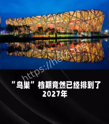 鸟巢为啥忙不停